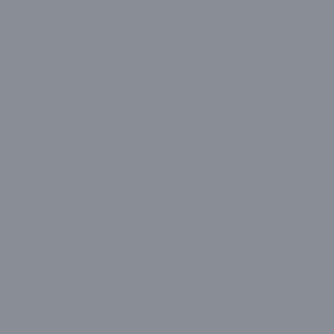 21-DUST GREY NL7415 SERICA UVS0